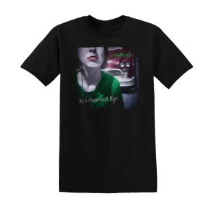 The Lemonheads - Its A Shame About Ray 3 Album Cover T-Shirt