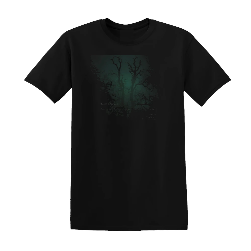 David Sylvian - Theres A Light That Enters Houses With No Other House In Sig Album Cover T-Shirt